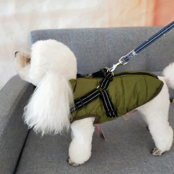 Wasserdichte Hundewinterjacke mit Geschirr