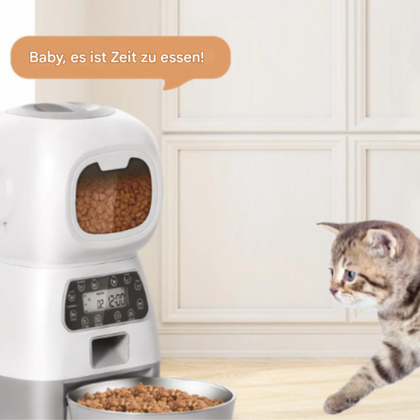 Automatischer Futterspender für Katzen