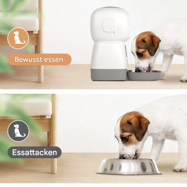 Automatischer Futterspender für Hunde