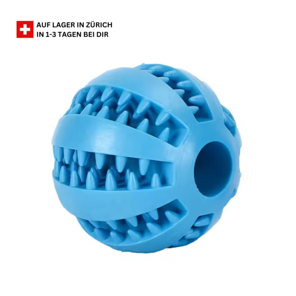 Hund Zahnreinigungsball Schweiz