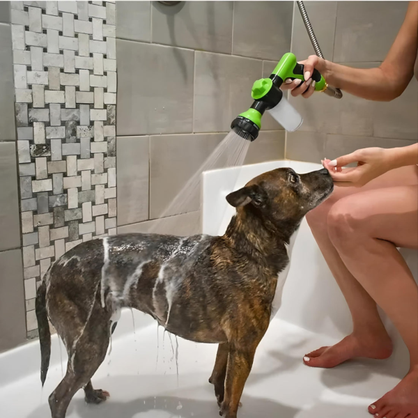Hochdruck Hundedusche Schweiz