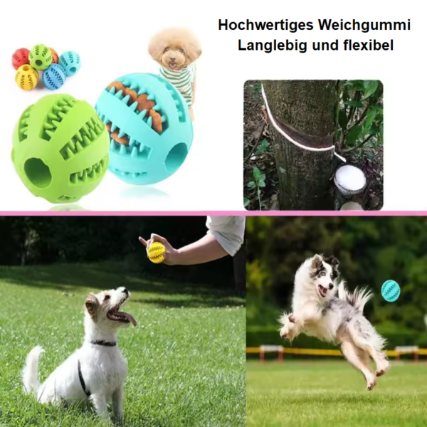 Kauball für Hunde