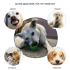 Bester Zahnreinigungsball für Hunde
