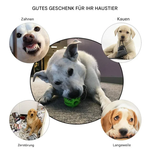 Bester Zahnreinigungsball für Hunde