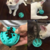 Kauball für Katzen