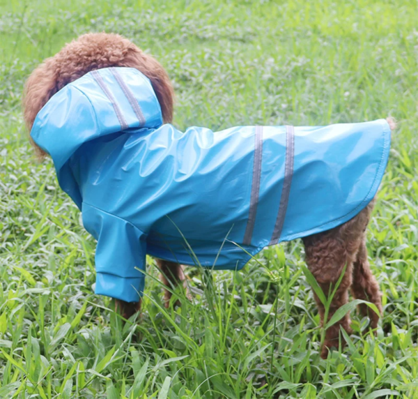 Outdoor Regenmantel für Hunde