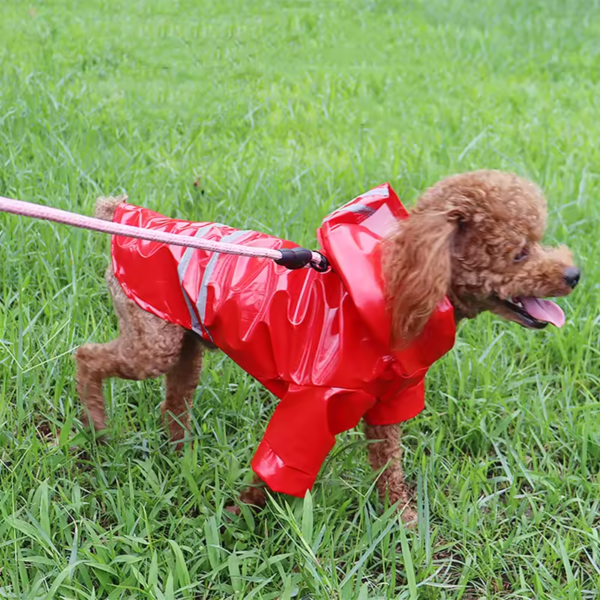 Outdoor Regenmantel für Hunde